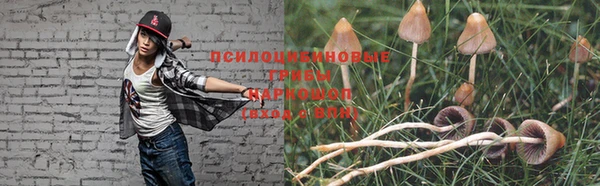 a pvp Инсар