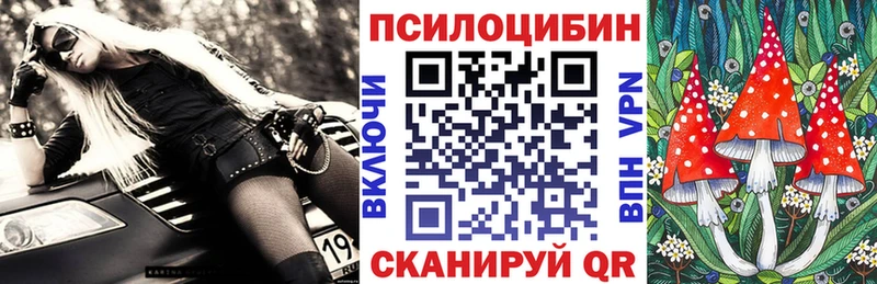 продажа наркотиков  Каменск-Шахтинский  Галлюциногенные грибы Cubensis 