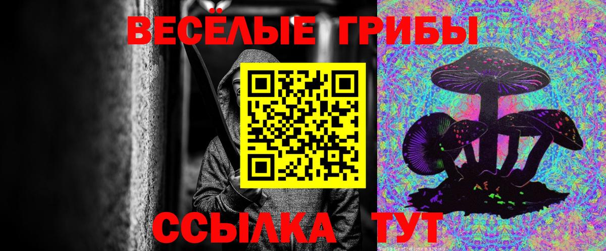 Галлюциногенные грибы MAGIC MUSHROOMS Каменск-Шахтинский