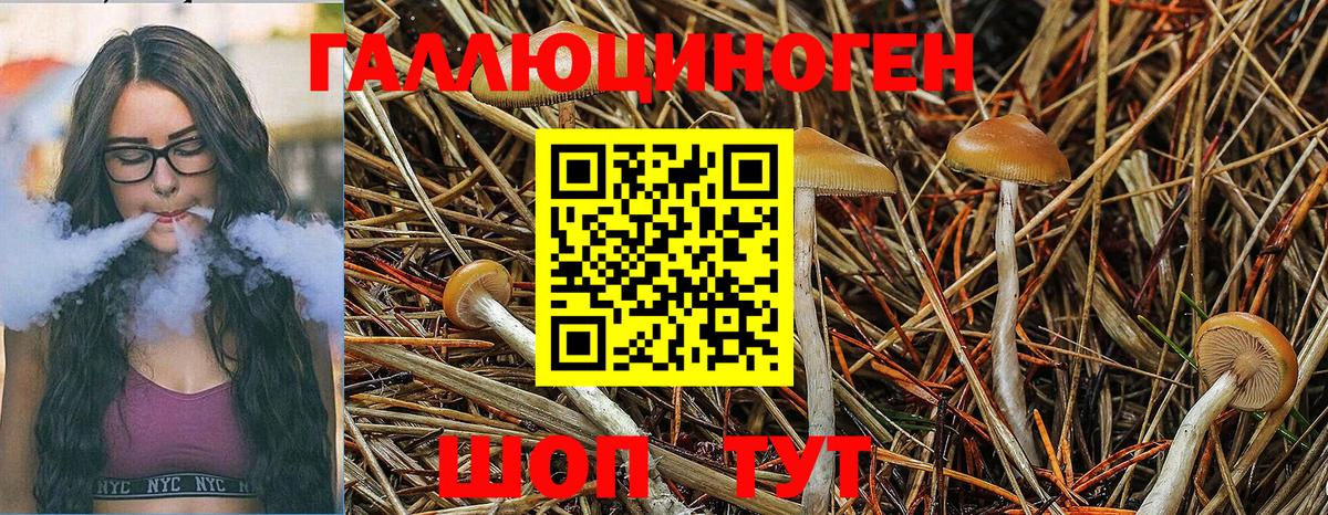 Галлюциногенные грибы прущие грибы  Псилоцибиновые грибы Magic Shrooms  Вход с VPN  Каменск-Шахтинский 