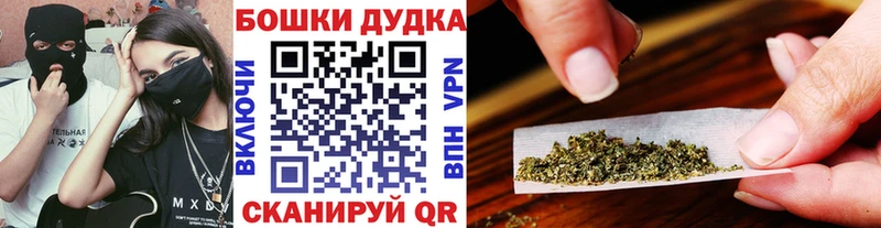 Конопля план  Каменск-Шахтинский 